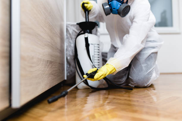 Best Pest Prevention Services  in Bowdon, GA