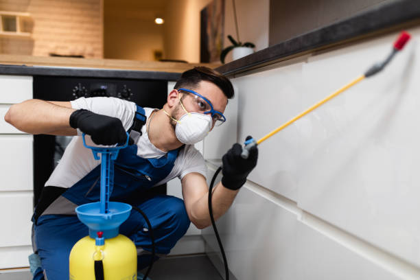 Best Rat Extermination Near Me  in Bowdon, GA