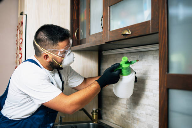 Best Affordable Pest Control Services  in Bowdon, GA