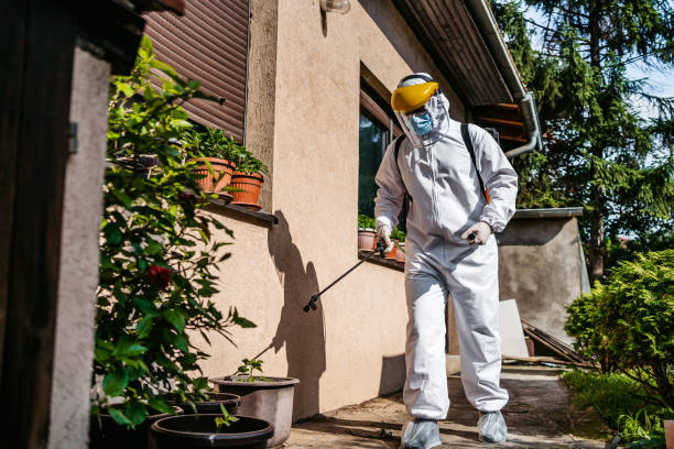Best Bed Bug Extermination  in Bowdon, GA