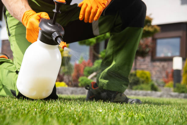 Best Flea Control Services  in Bowdon, GA