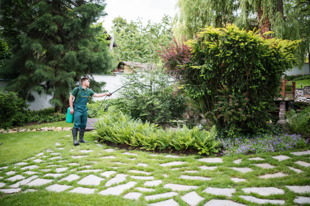 Best Local Pest Control Services  in Bowdon, GA