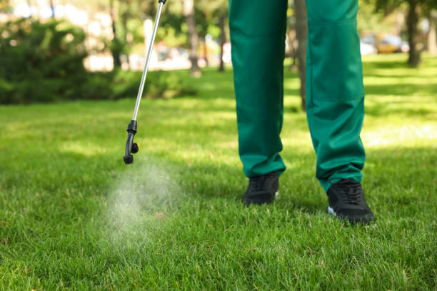 Best Best Pest Control Companies  in Bowdon, GA