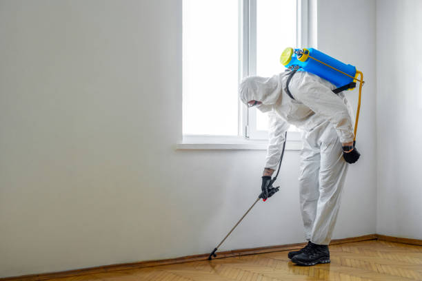 Best Pest Control for Businesses  in Bowdon, GA