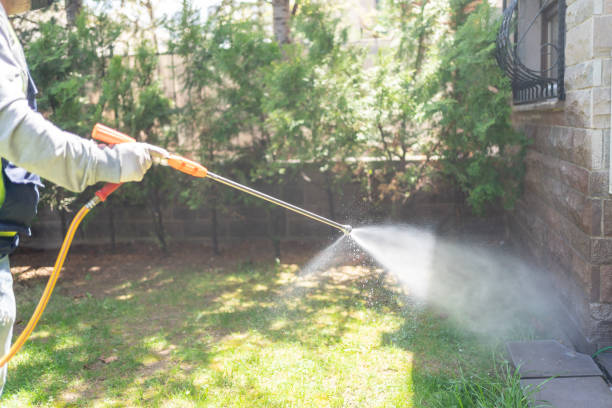 Best Ant Control Services  in Bowdon, GA