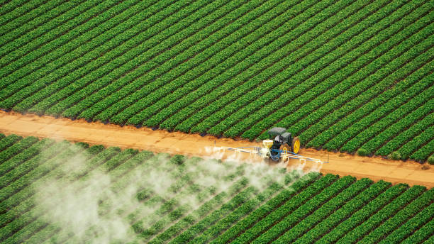 Best Insect Control  in Bowdon, GA
