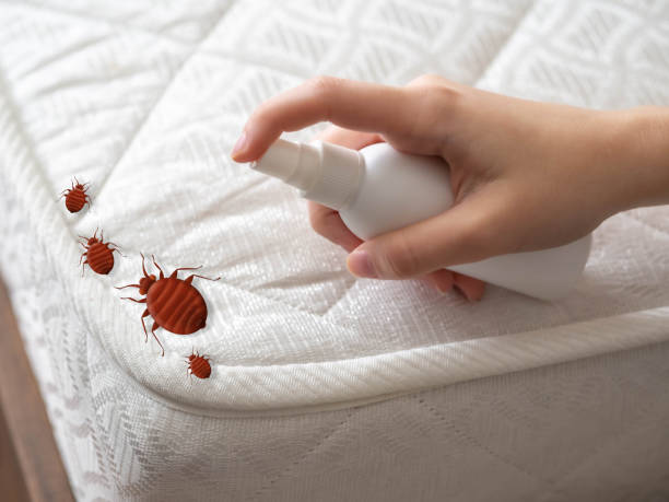 Bowdon, GA Pest Control Company