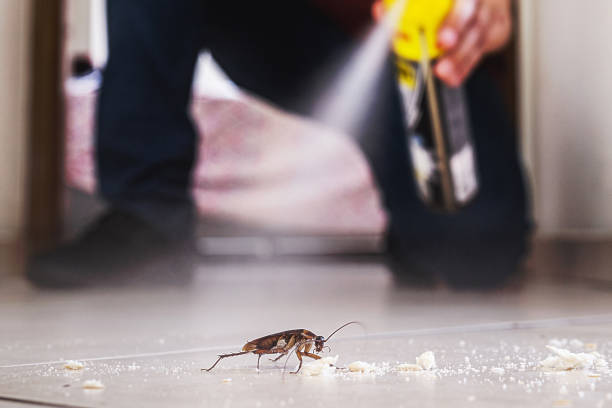 Best Commercial Pest Control Services  in Bowdon, GA