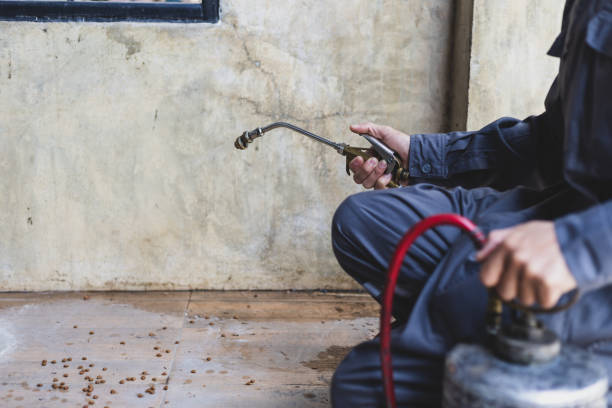 Best Wasp Removal Services  in Bowdon, GA